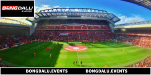 Football Pitch Trong Bóng Đá Và Những Điều Cần Biết